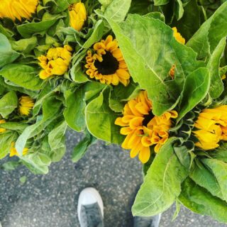 First stop back from vacation must be @studiocityfm
.
.
#selfeet #sunflowers #farmersmarketfinds #ihavethisthingwithfloors